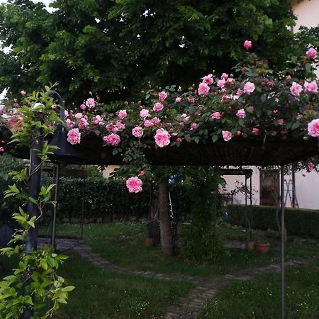 Happy Family B&B Viggianello Exteriér fotografie